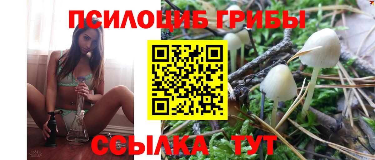 Псилоцибиновые грибы ЛСД  Вход с VPN  Пугачёв 