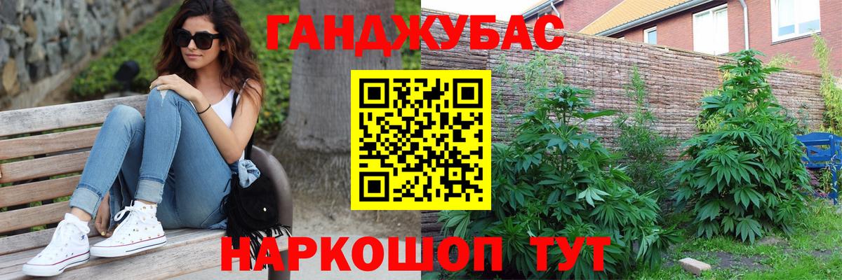 Бошки марихуана OG Kush  Конопля план  Каннабис гибрид  Пугачёв  Вход с VPN  Конопля THC 21% 
